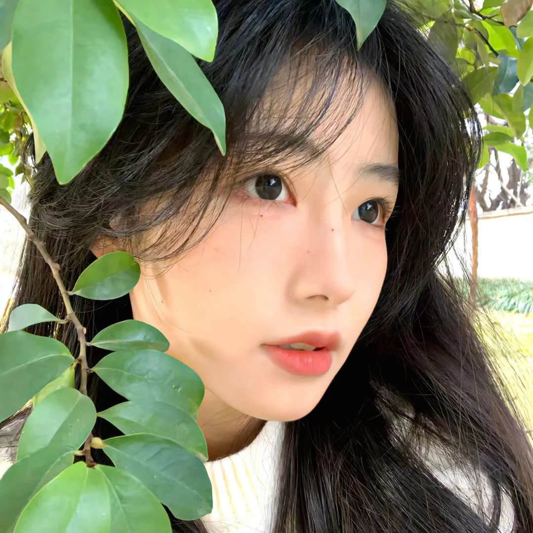 冰上动物宝宝