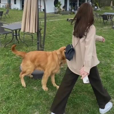 奔跑吧第三季